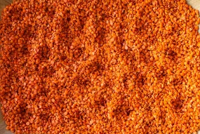 Masoor Dal (Split Red Lentils)